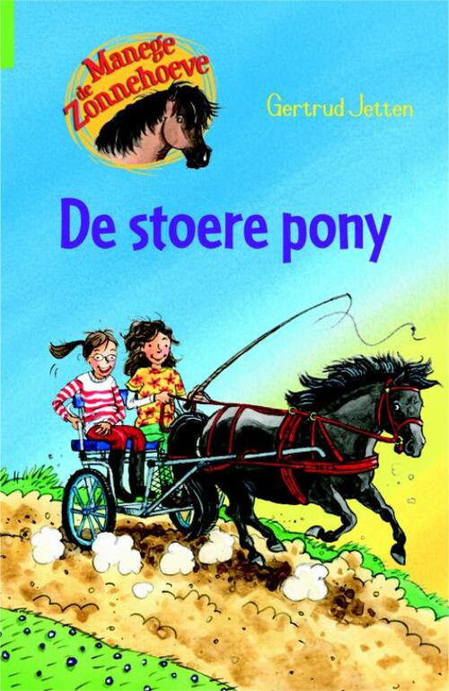 Manege De Zonnehoeve De Stoere Pony Gertrud Jetten Boek