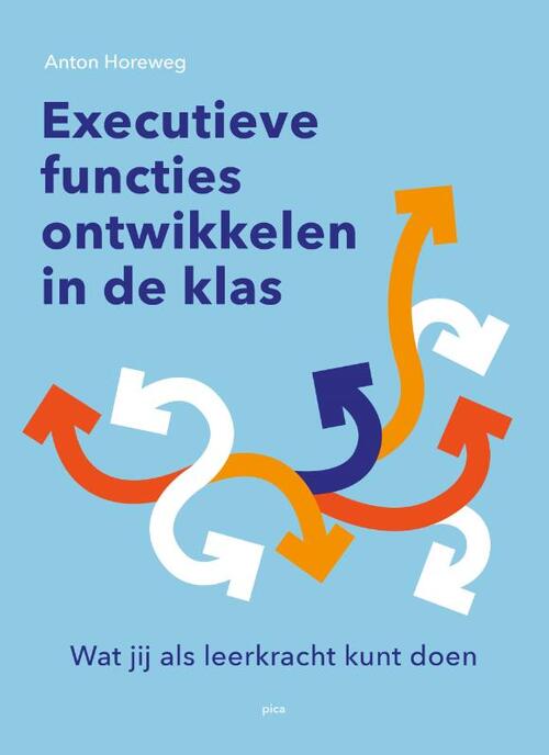 Executieve Functies Ontwikkelen In De Klas Anton Horeweg Boek