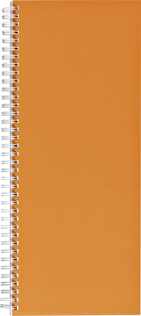 Notitieboek 135X330MM Lijn 160BLZ 70GR Spiraal Oranje