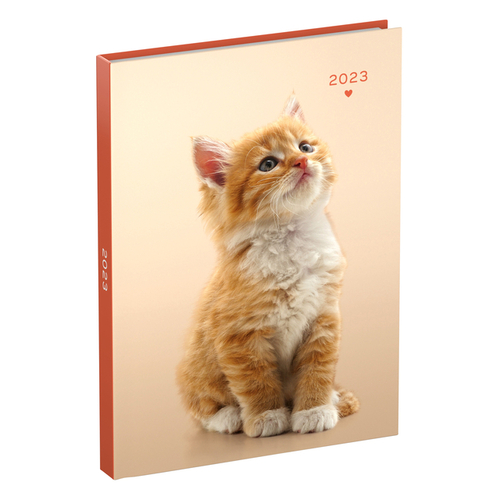 Agenda 2023 110X150 My Favourite Friends 7Dagen/2Pagina's 1 Kitten