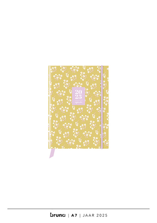 Agenda 2025 A7 - CF Miniflower