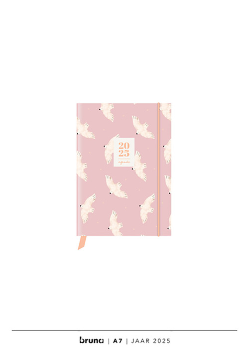 Agenda 2025 A7 - CF Birds