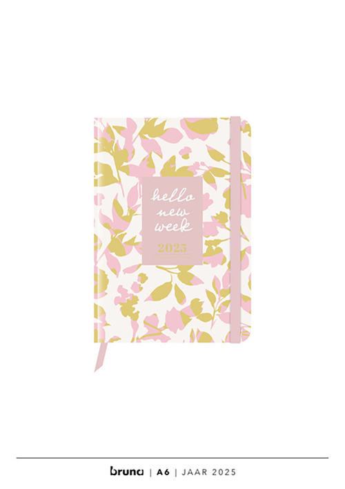 Agenda 2025 A6 - CF Shadow Flower