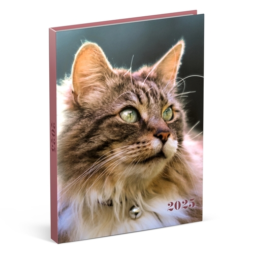 Agenda 2025 Lannoo My Favourite Friends 7Dagen/2Pagina's