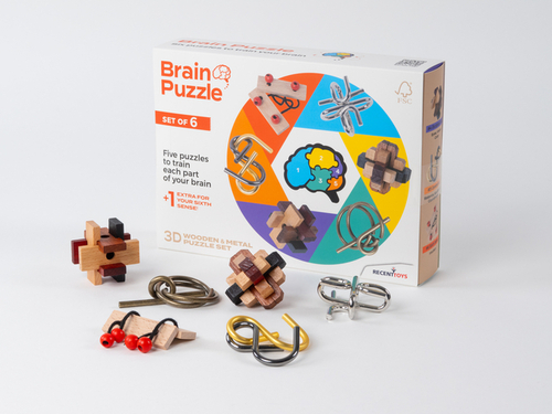 Brain Puzzles - Set Of 6