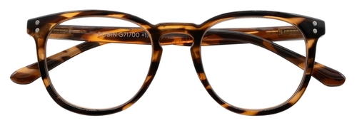 Leesbril I Need You Robin +1.00 DTP Havanna