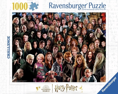 Puzzel Harry Potter Challenge Puzzel 1000 Stukjes