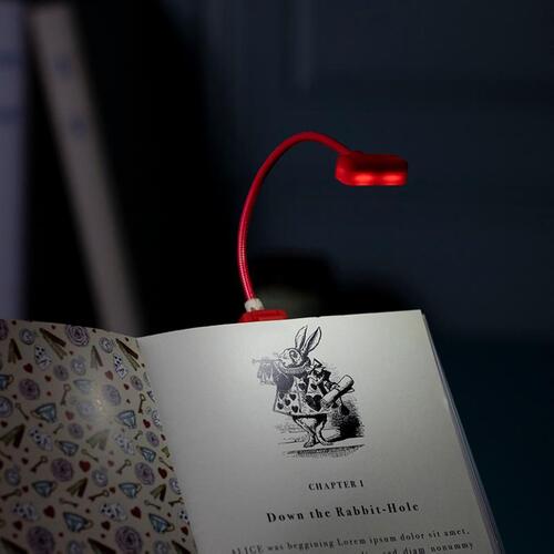 Book Lover's Reading Light - Alice