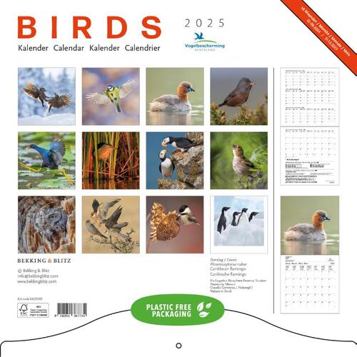 Birds maandkalender 2025, Vogelbescherming, Bekking & Blitz Uitg