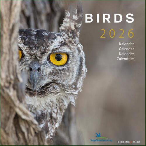 Birds maandkalender 2026, Vogelbescherming