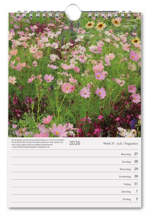 Tuinen, Modeste Herwig weekkalender 2026