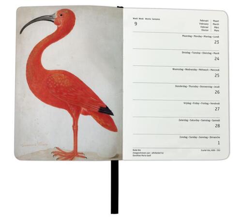 Rijksmuseum Amsterdam mini agenda 2026