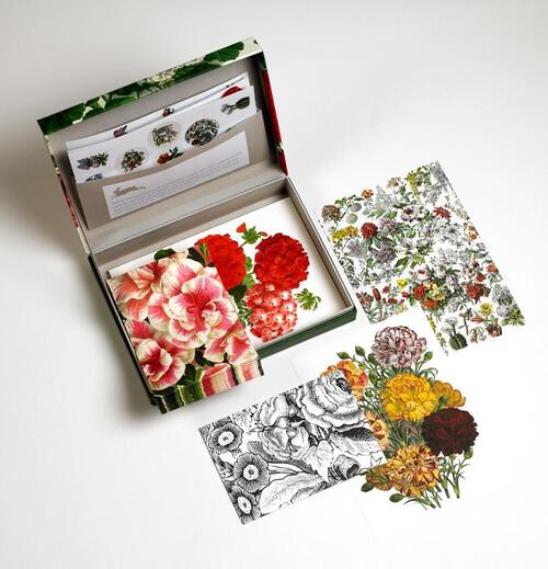 Flower Prints - Letter Writing Set