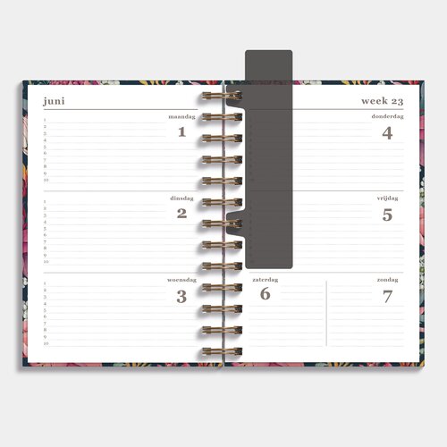 Agenda Spiraal Medium D2 26/27