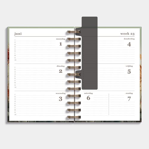 Agenda Spiraal Medium D3 26/27