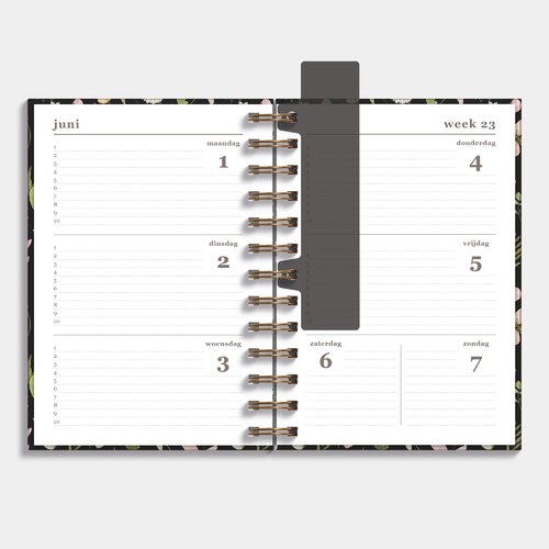 Agenda Spiraal Medium D4 26/27