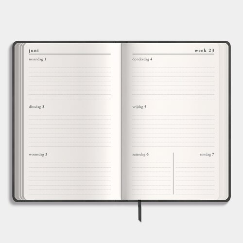 Agenda Pocket Deluxe D2 26/27
