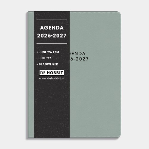 Agenda Pocket Deluxe Flex D2 26/27