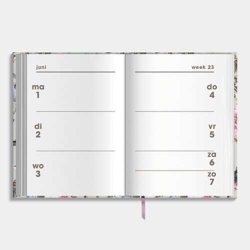 Agenda Mini D3 26/27