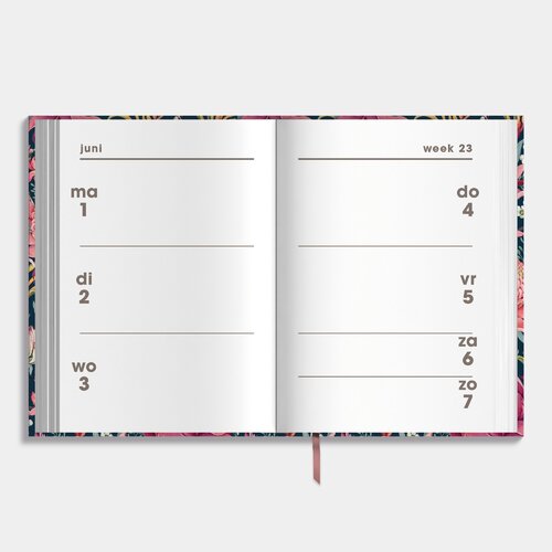 Agenda Mini D4 26/27