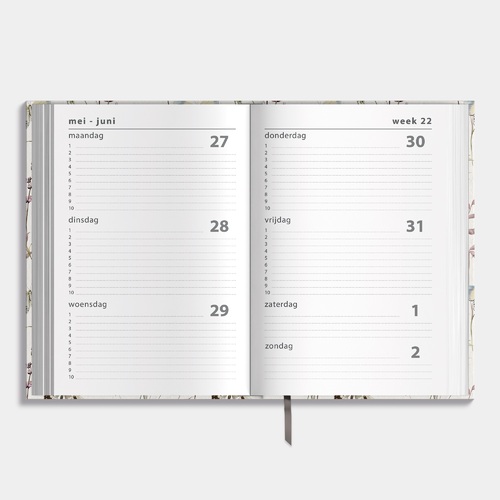 Agenda Basic Vlinders 24/25