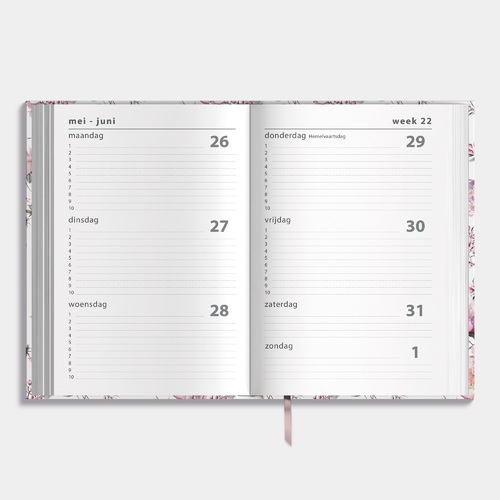 Agenda Basic Extra Kersenbloesem 25/26