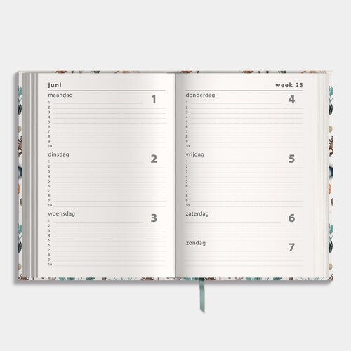 Luxe Schoolagenda 2026-2027 ±A5 Oceaan