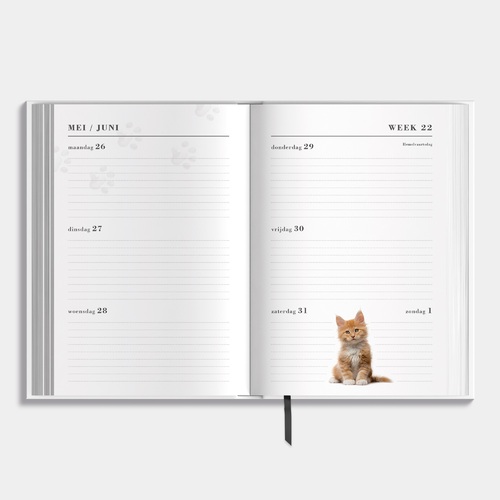 Agenda Katten 25/26