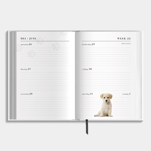 Agenda Honden 25/26