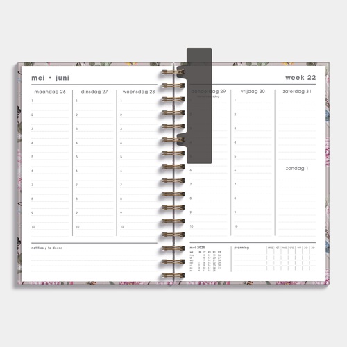 Docentenagenda D6 25/26 Romantisch