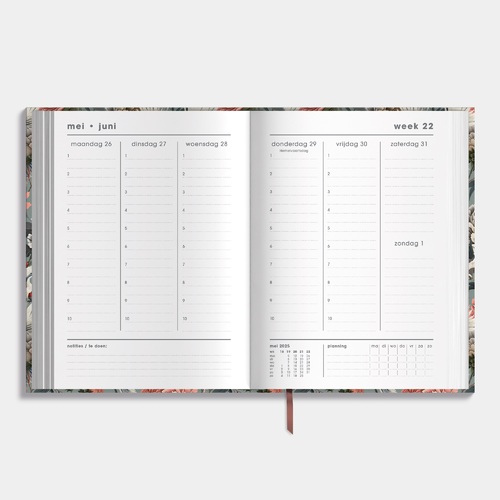 Docentenagenda D7 25/26 Kraanvogels