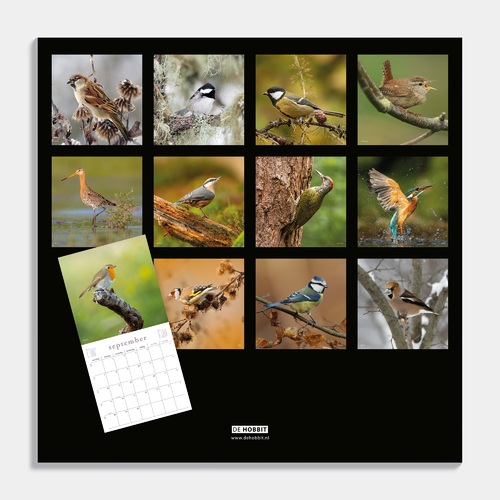 Jaarkalender Vogels 2026