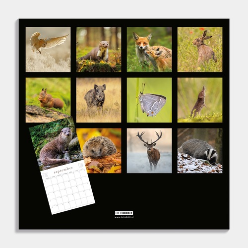 Jaarkalender Natuur 2026