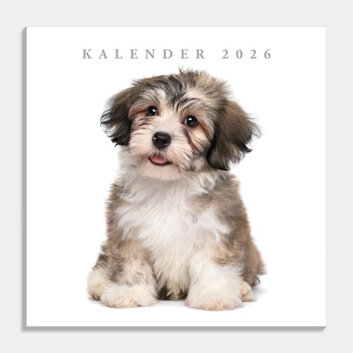 Jaarkalender Honden 2026