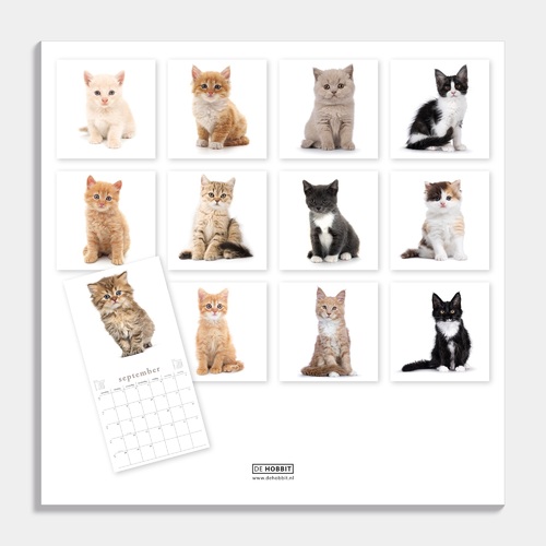 Jaarkalender Katten 2026