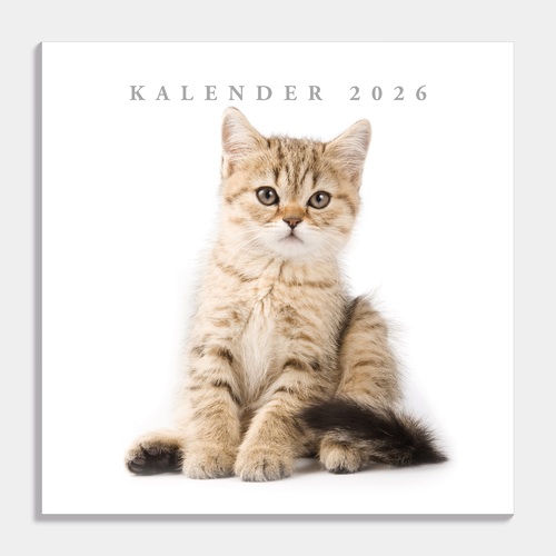 Jaarkalender Katten 2026