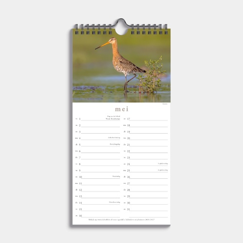 Minikalender Vogels 2026