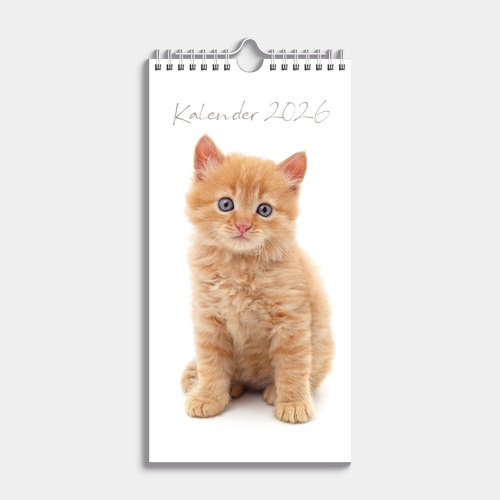 Minikalender Katten 2026