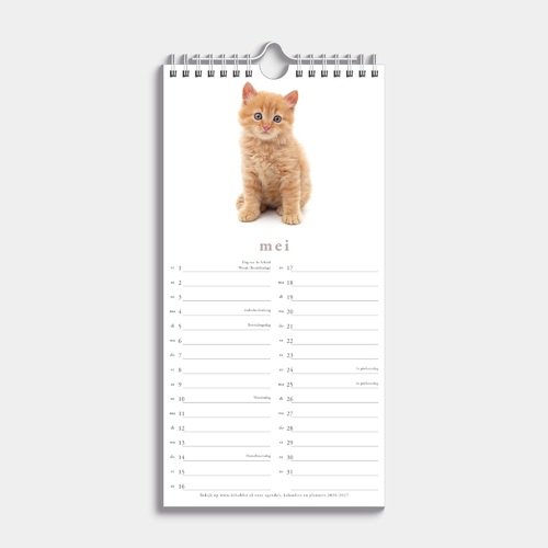 Minikalender Katten 2026