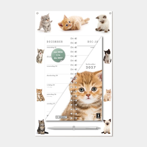 Omslagkalender Katten 2027