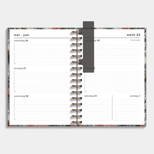 Agenda A5 Spiraal D6 25/26 Kraanvogels