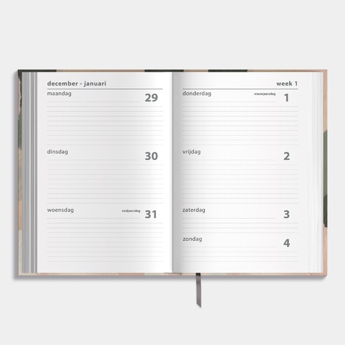 Basic Agenda 2026 A5 Abstracte verfstreken