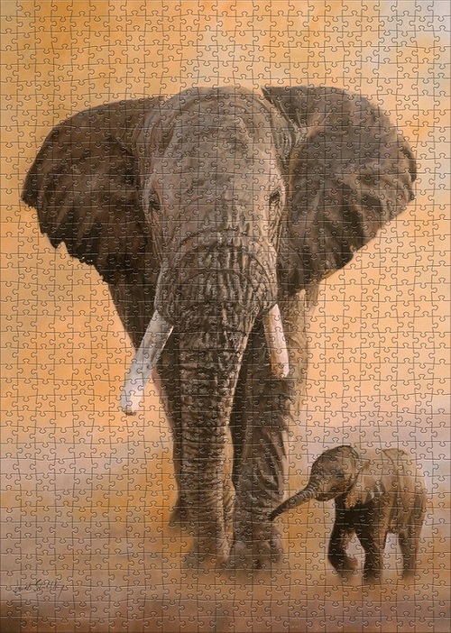Elephants (1000 Stukjes)