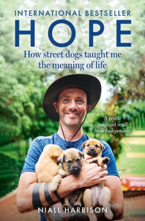 Hope – How Street Dogs Taught Me the Meaning of Life