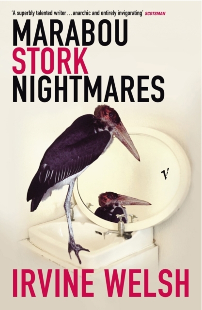 Marabou Stork Nightmares