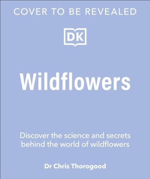 Wildflowers