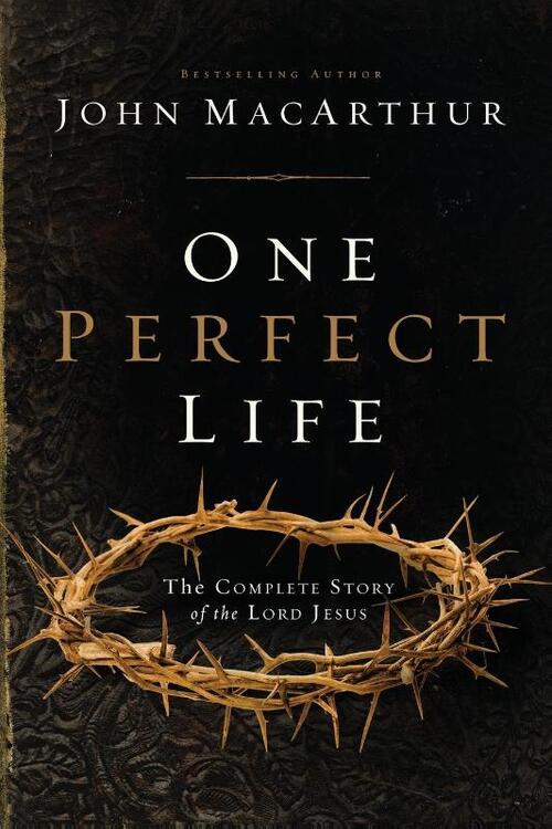 One Perfect Life: The Complete Story of the Lord Jesus