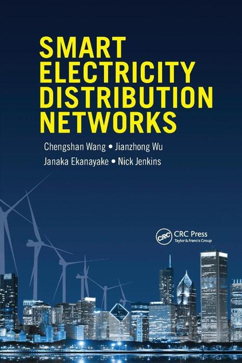 Smart Electricity Distribution Networks