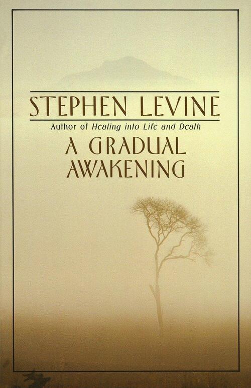 Levine, S: Gradual Awakening