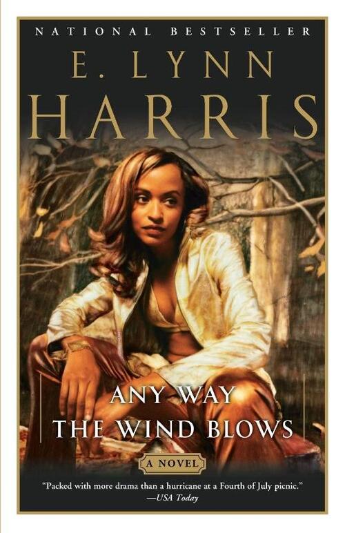 Any Way the Wind Blows, E. Lynn Harris | Boek | 9780385721189 | Bruna